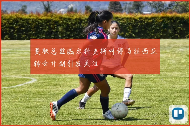 曼联总监威尔科克斯叫停马拉西亚转会计划引发关注